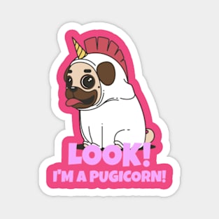 Look! I'm a pugicorn (half pug half unicorn) Magnet