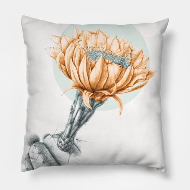 Cactus flower Pillow by VeraAlmeida