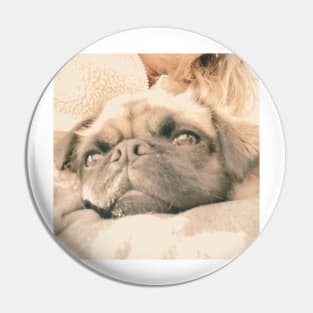 Pug Pin