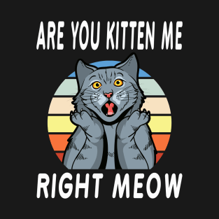 Are You Kitten Meow Right Now - Funny Cat Pun, Cat Humor, Cat Quote, Retro Sunset Design Funny Gift Idea For Cat Lover T-Shirt