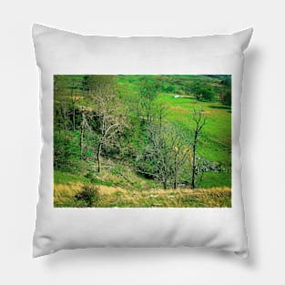 Natural Bridge Pillow