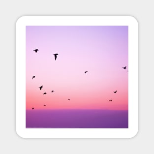 Birds Flying at Sunset Magnet