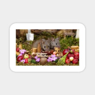 George the mouse in a log pile house - meal for two Magnet