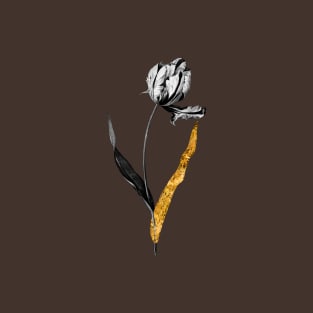 Black and Gold Leaf - Didier's Tulip - Vintage Botanical T-Shirt