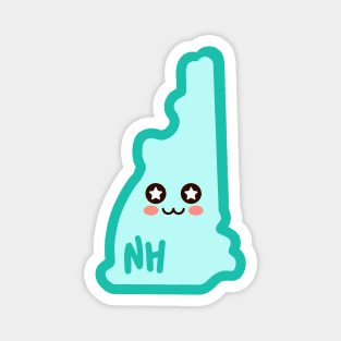 New Hampshire Chan Magnet