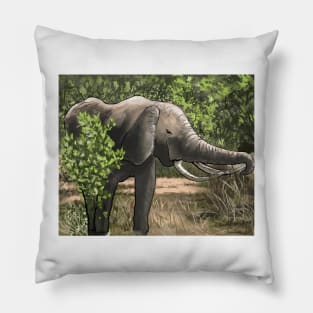 Kruger national park Pillow