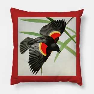 "Red-winged Blackbird" by Louis Agassiz Fuertes, 1919 Pillow