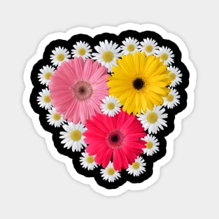 gerbera daisies in bloom daisy flower blossoms Magnet