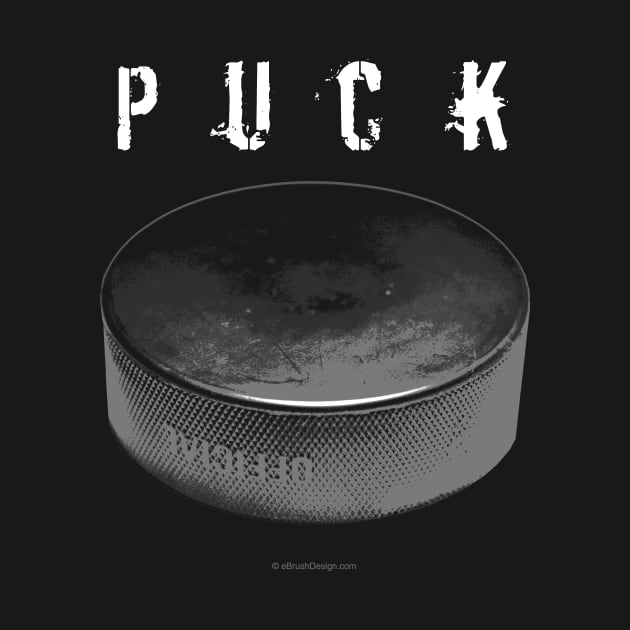 PUCK (hockey) by eBrushDesign