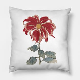 Hasegawa Flowers Pillow