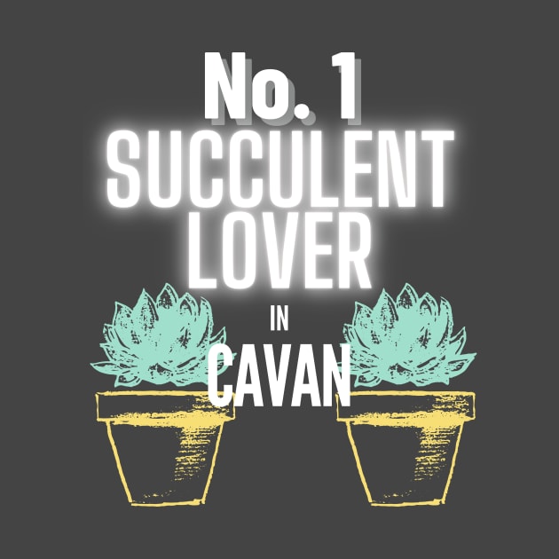 The No.1 Succulent Lover In Cavan by The Bralton Company