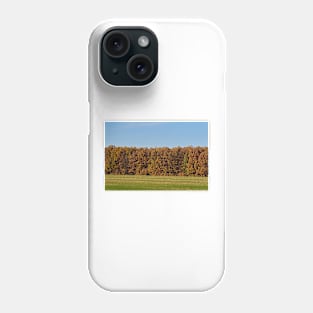 Oak forest in the autumn Phone Case