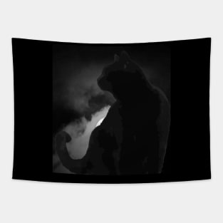 Black Cat Silhouetted Against Moonlight Sky Tapestry