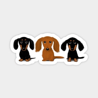 Three Doxies Magnet