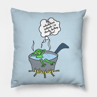 Boiling frog and global warming Pillow