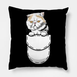 Funny Exotic Shorthair Pocket Cat Pillow