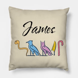 JAMES-American names in hieroglyphic letters-James, name in a Pharaonic Khartouch-Hieroglyphic pharaonic names Pillow
