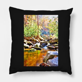 Silky Creek Pillow