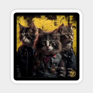 Punk cats band Magnet