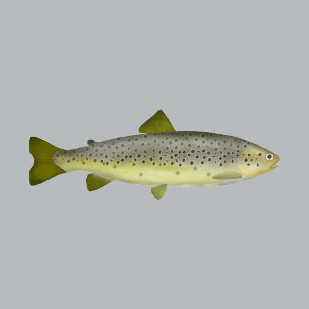 Mediterranean Trout by FishFolkArt