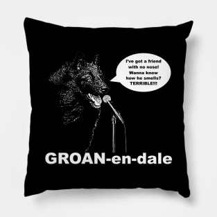 How to Pronounce Groenendael Pillow