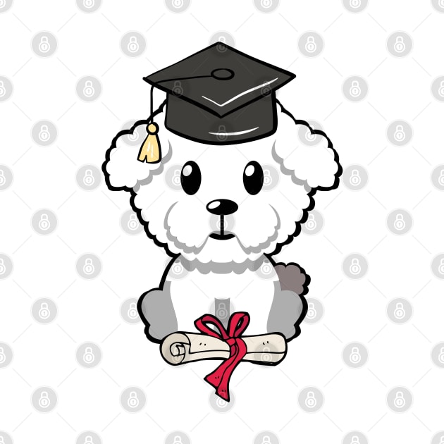 Cute furry dog is a graduate by Pet Station