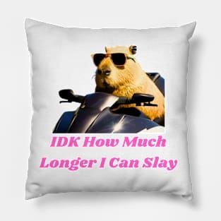 Idk How Much Longer I Can Slay Pillow