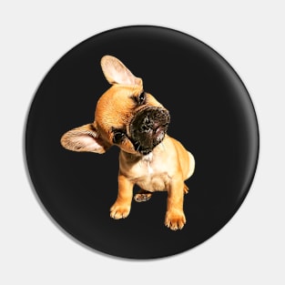 French Bulldog Cute Head Tilt Pin