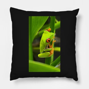 Red Eyed Tree Frog Pillow