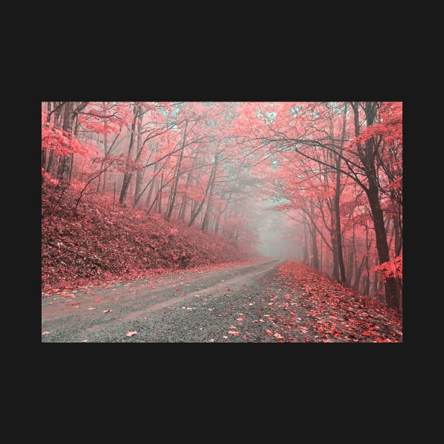 Misty Forest Road - Tickle Me Pink by somadjinn