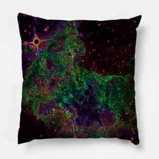 Black Panther Art - Glowing Edges 392 Pillow