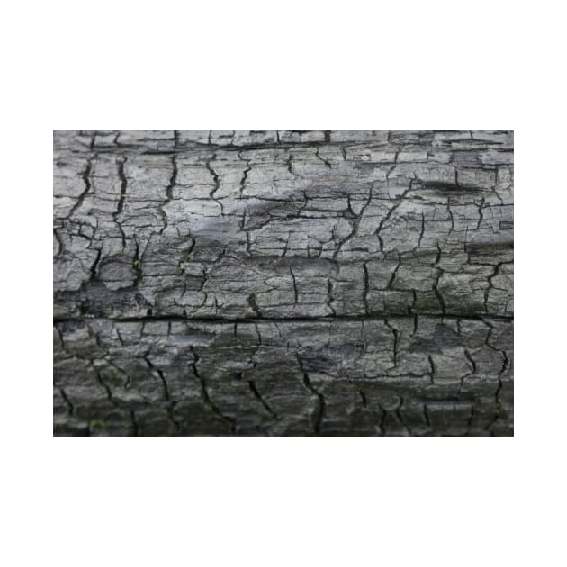 Charred wood texture by textural