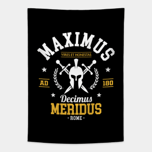 Gladiator - Maximus Decimus Meridus Tapestry