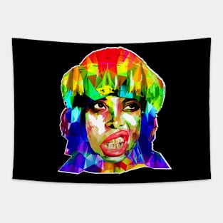 Erykah Badu - RNB Tapestry