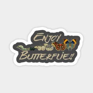 Enjoy The Butterflies, Butterfly Evolution Magnet