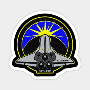 Black Panther Art - NASA Space Badge 171 Magnet
