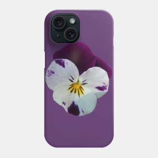 colorful purple pansy, violets, pansies, viola Phone Case