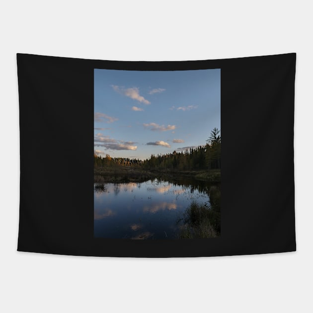 Sunset Reflection Tapestry by Isla Creek Casuals