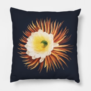 The Night Blowing Cereus by Robert John Thornton Pillow