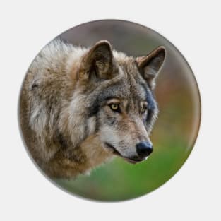 Timber Wolf Pin