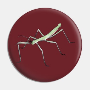 Aromantic Stick Bug Pin