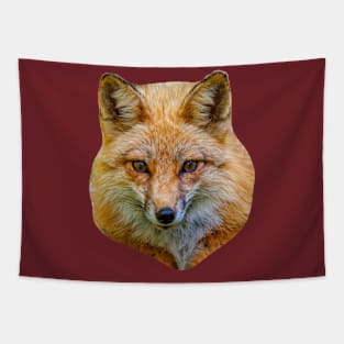 Foxy Face Tapestry