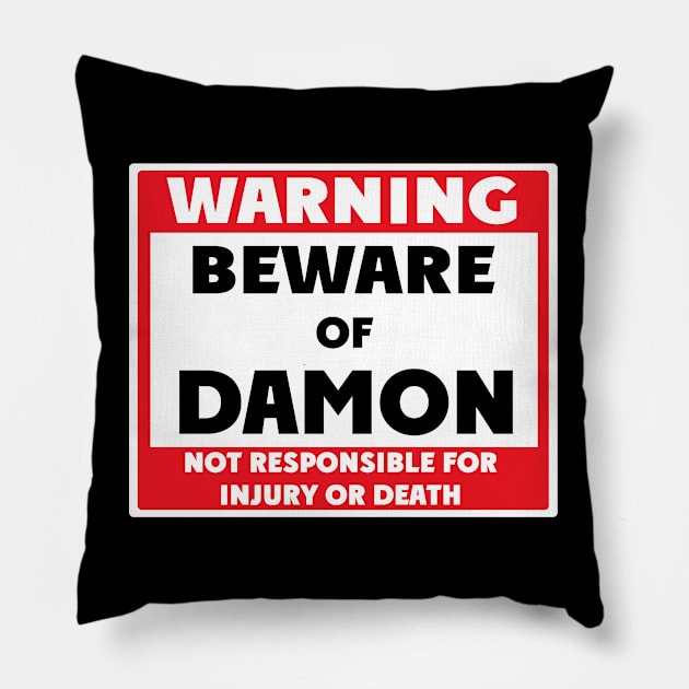 Beware of Damon Pillow by BjornCatssen