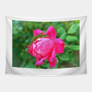 Baby Anole On Pink Rose Tapestry