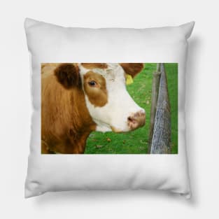 Hereford beef cattle Pillow