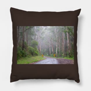 Foggy Great Ocean Road, Australia. Pillow