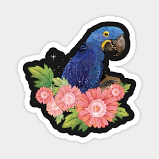 Hyacinth macaw Magnet