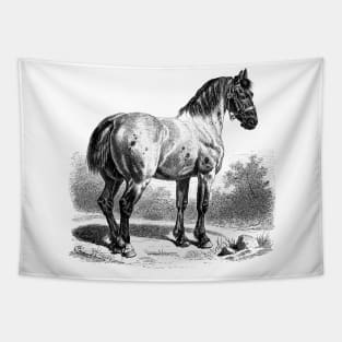 HORSE Vintage Black & White Illustration Tapestry