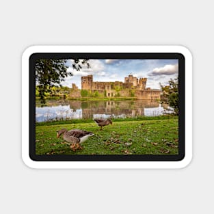 Caerphilly Castle, Caerphilly, Wales Magnet