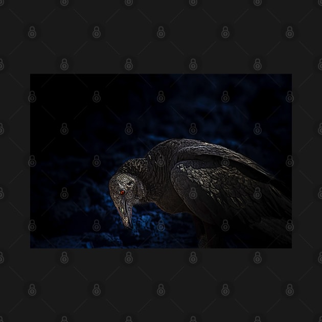 the terrible red-eyed vulture by rickylabellevie